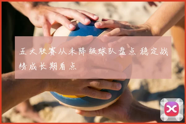 五大联赛从未降级球队盘点 稳定战绩成长期看点