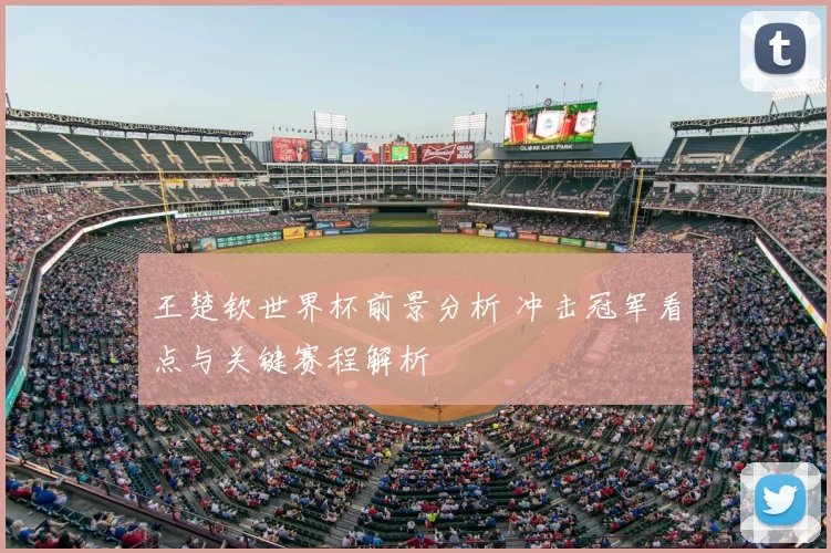 王楚钦世界杯前景分析 冲击冠军看点与关键赛程解析
