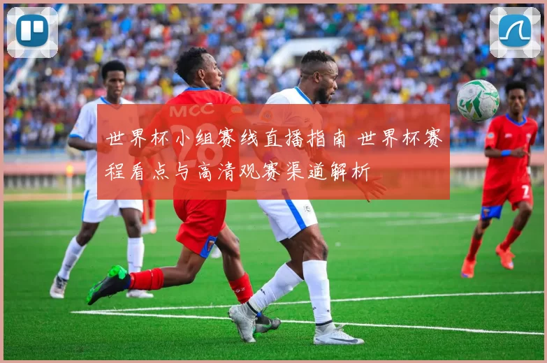世界杯小组赛线直播指南 世界杯赛程看点与高清观赛渠道解析