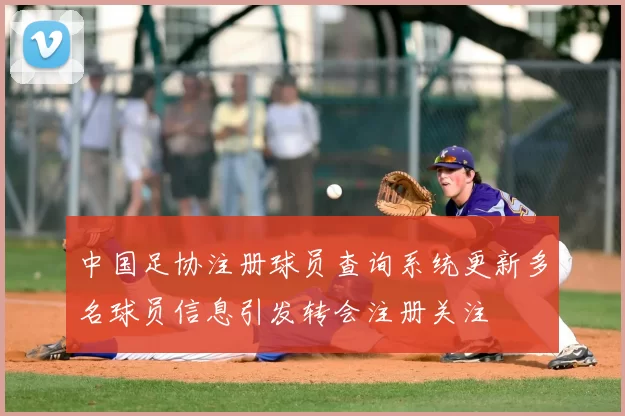 中国足协注册球员查询系统更新多名球员信息引发转会注册关注