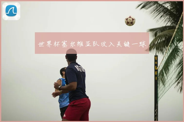 世界杯塞尔维亚队攻入关键一球