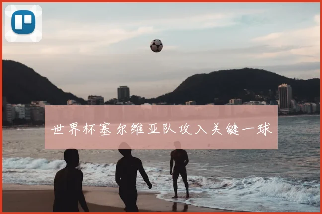 世界杯塞尔维亚队攻入关键一球