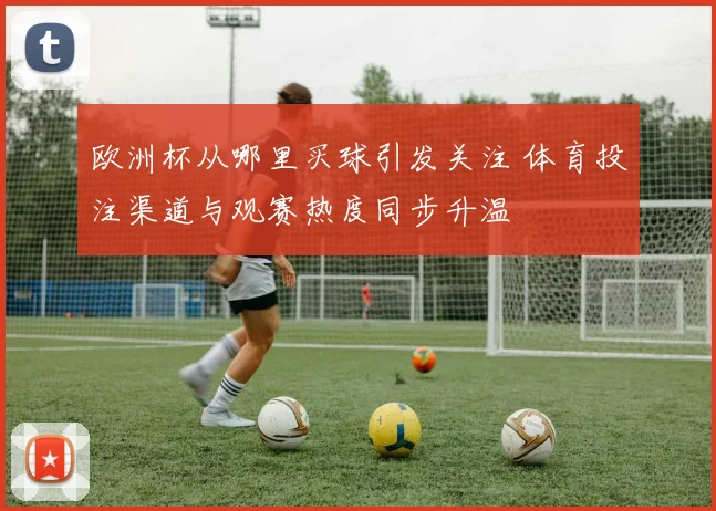 欧洲杯从哪里买球引发关注 体育投注渠道与观赛热度同步升温