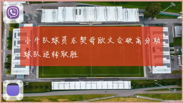小牛队球员东契奇欧文合砍高分助球队逆转取胜