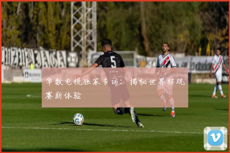华数电视独家专访：揭秘世界杯观赛新体验