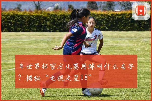 年世界杯官方比赛用球叫什么名字？揭秘“电视之星18”