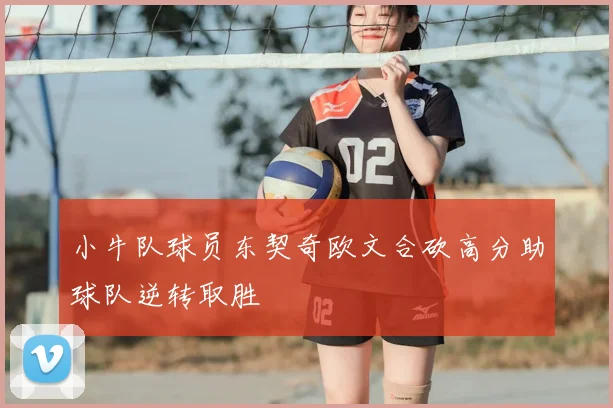 小牛队球员东契奇欧文合砍高分助球队逆转取胜