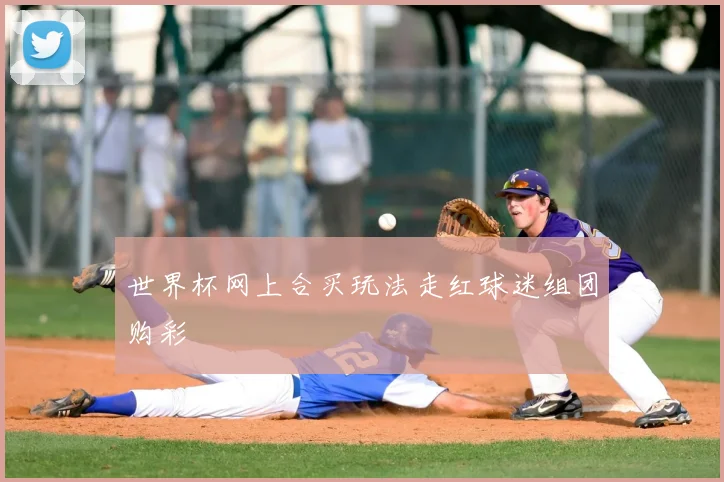 世界杯网上合买玩法走红球迷组团购彩